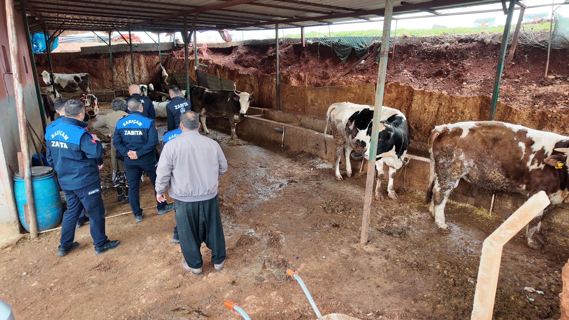 SARIÇAM’DA KENT ESTETİĞİNİ BOZAN HAYVANCILIK YAPILARI TAŞINIYOR 