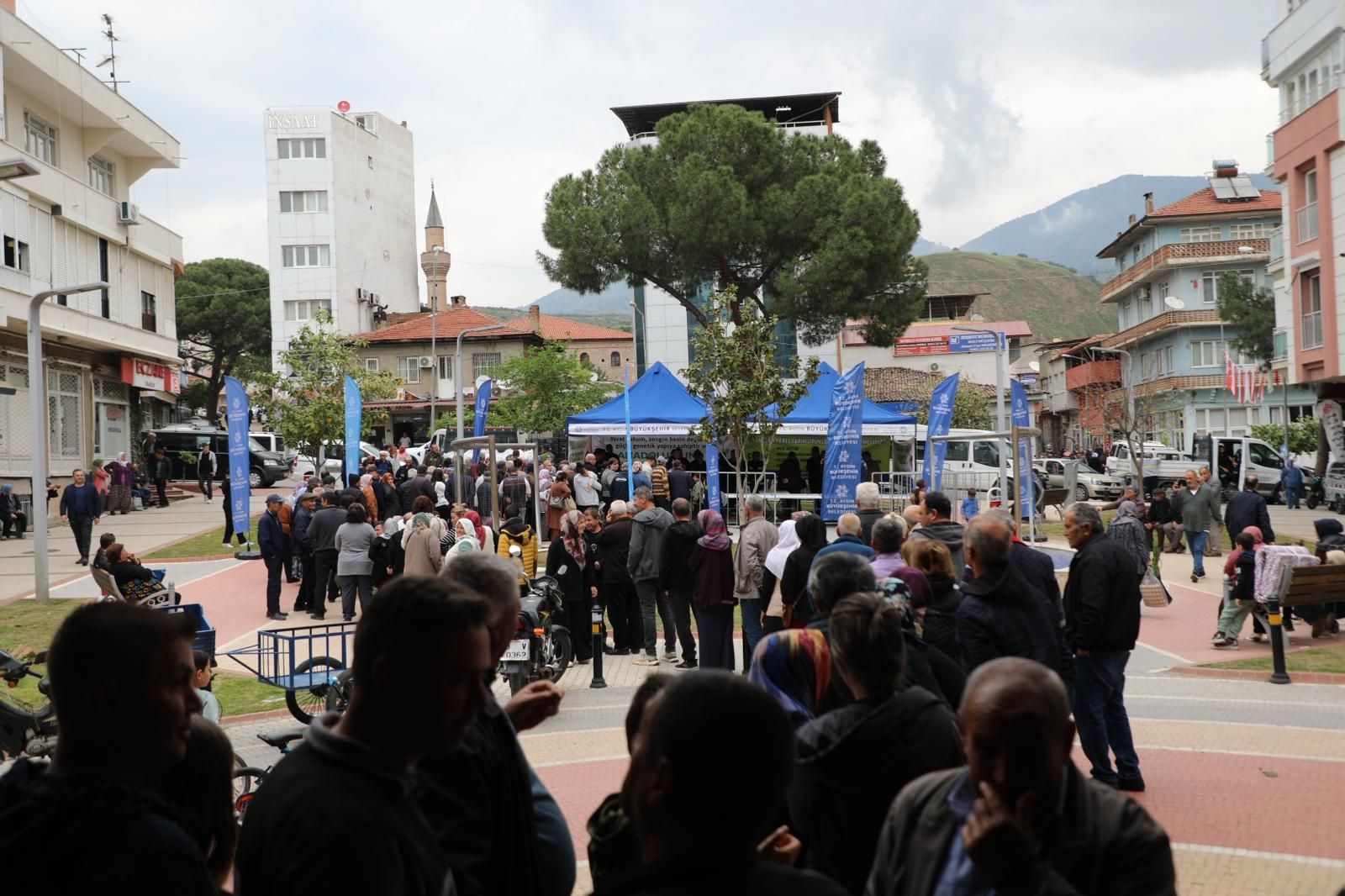 AYDIN'DA  ATA TOHUMLARI GELECEK NESİLLERE TAŞINIYOR