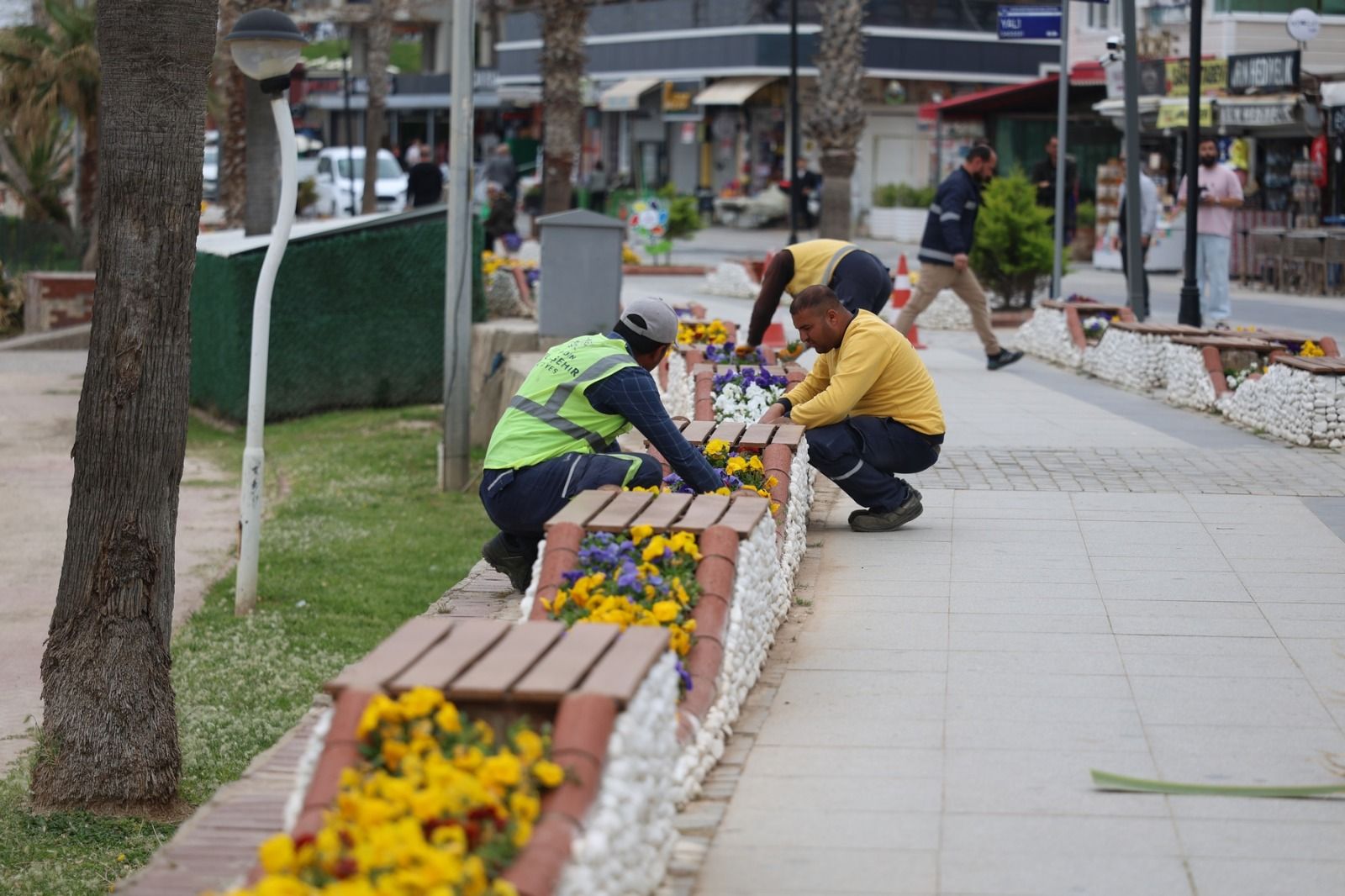DİDİM TURİZM SEZONUNA HAZIRLANIYOR 