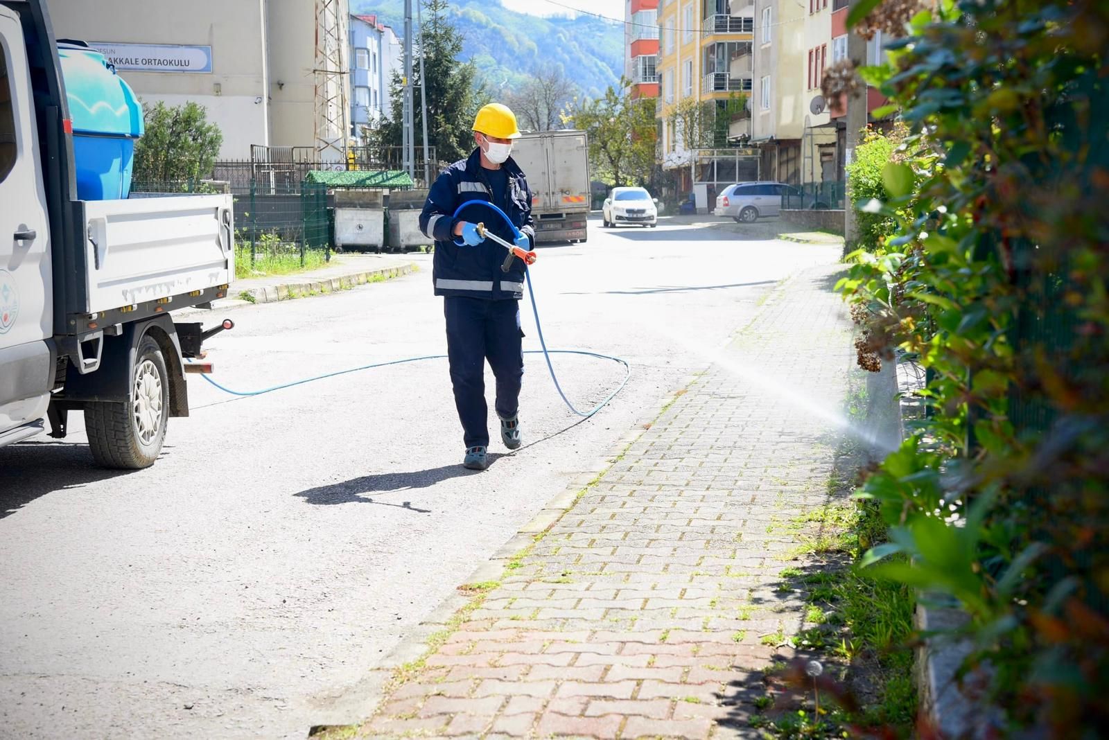 GİRESUN BELEDİYESİ KOKARCA İLE MÜCADELEYE BAŞLADI