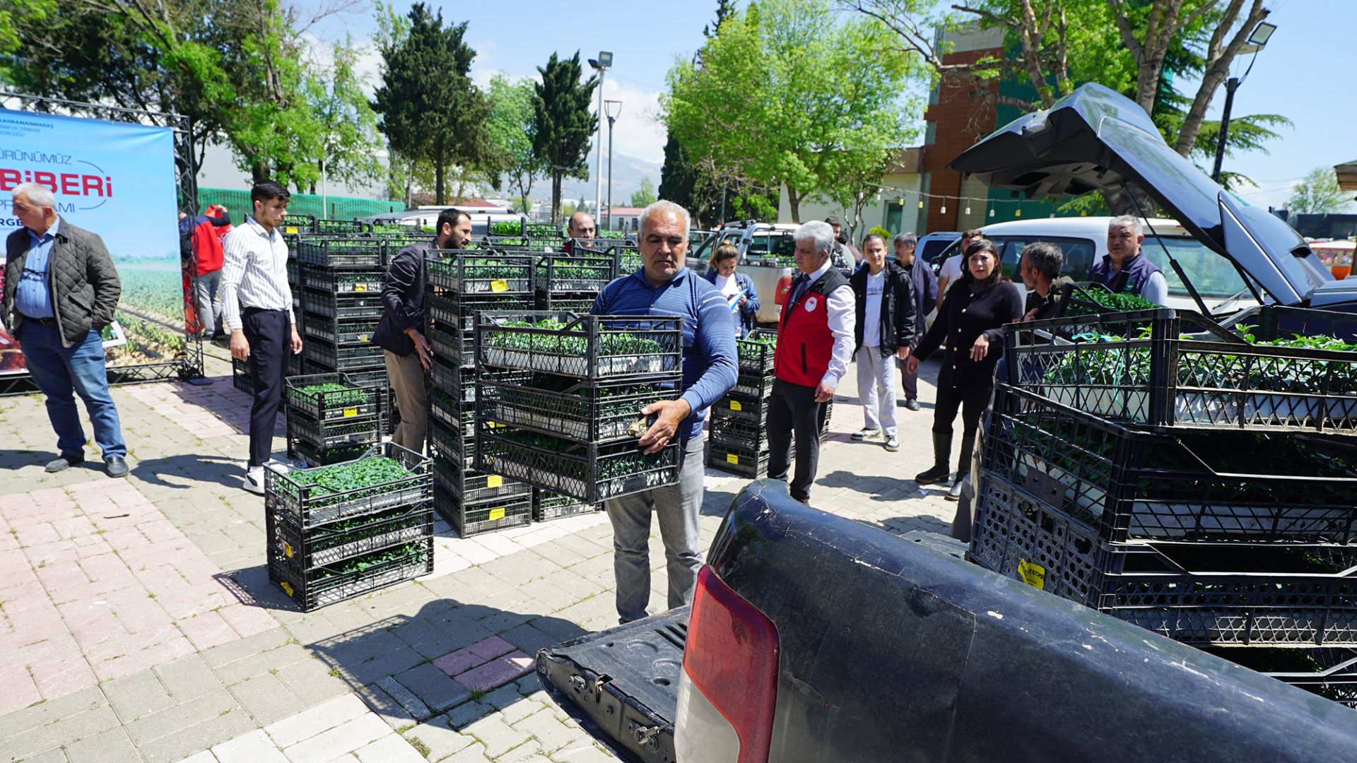 MARAŞ BİBERİ ÜRETİMİNE BÜYÜK KATKI 