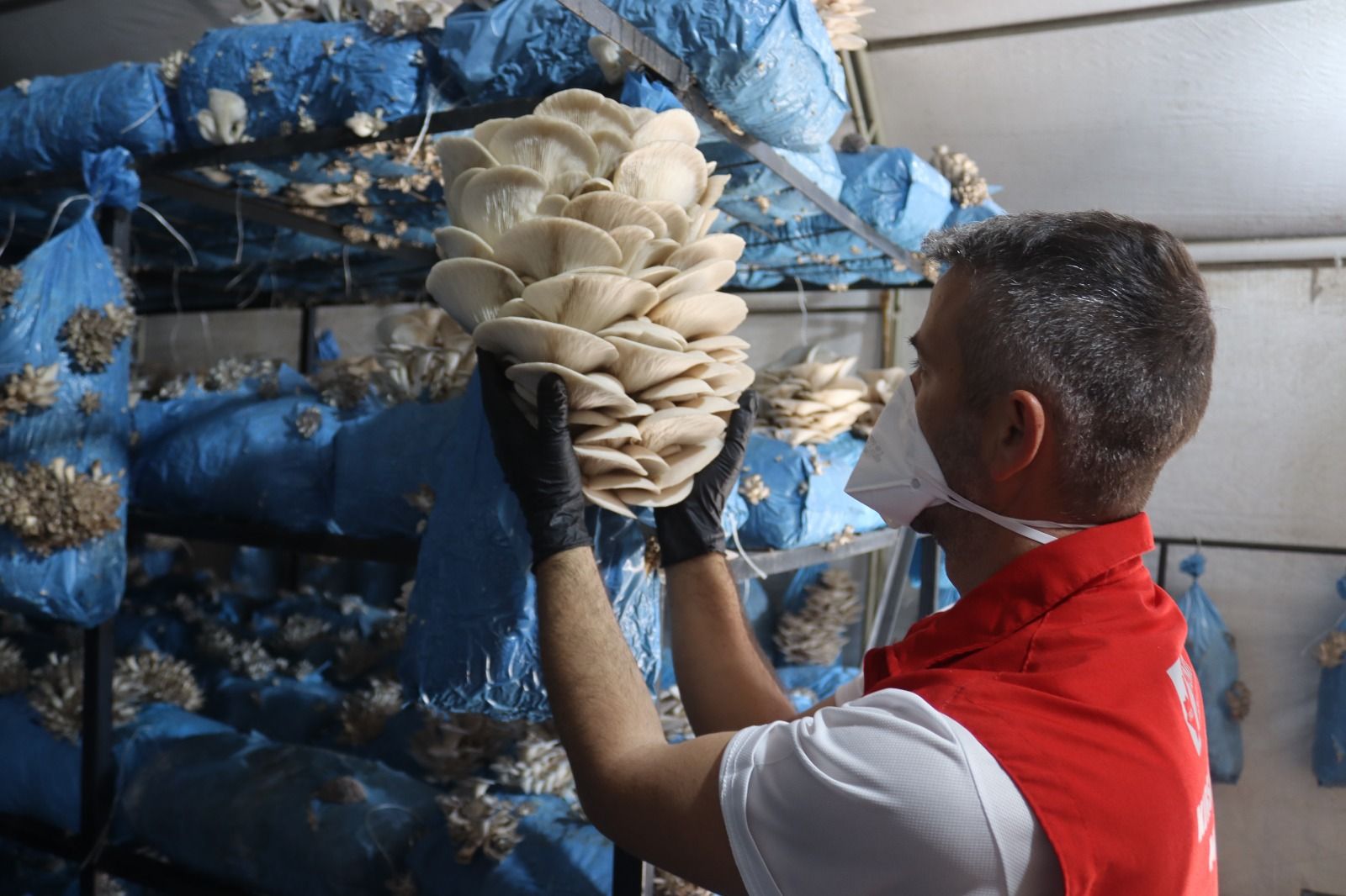 VATANDAŞA YÖNELİK ÜRETİM PROJESİ