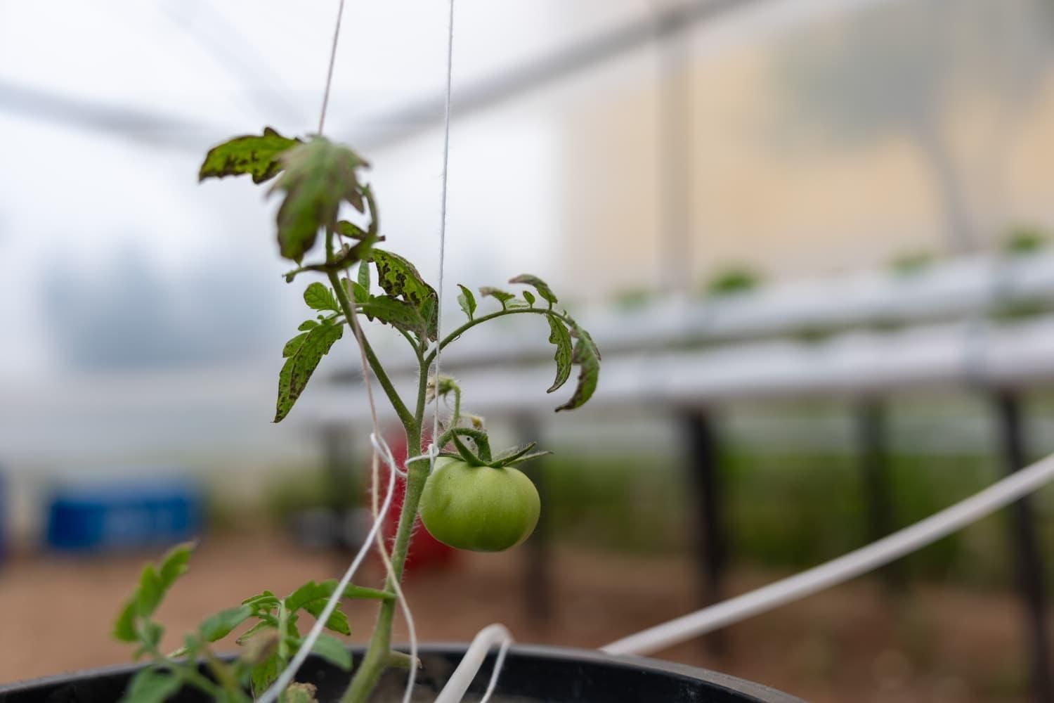 YENİŞEHİR’DEN EĞİTİME ‘YEŞİL’ DESTEK 