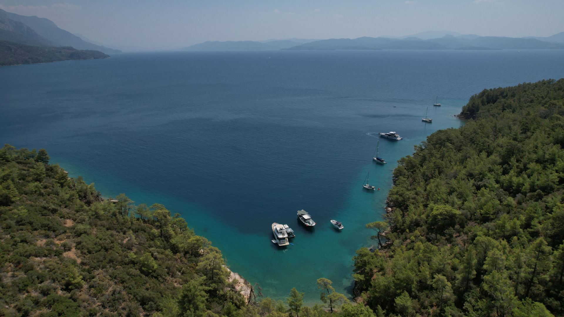 DOĞA İÇİN 288 DOSYALIK HUKUK SAVAŞI