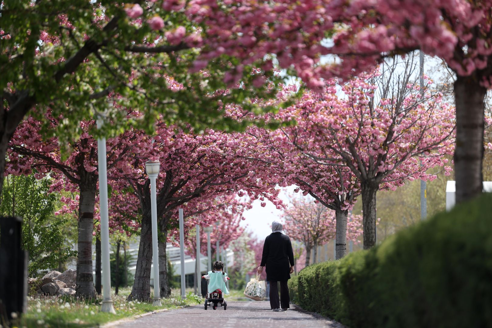 KONYA’DA JAPON ESİNTİSİ 