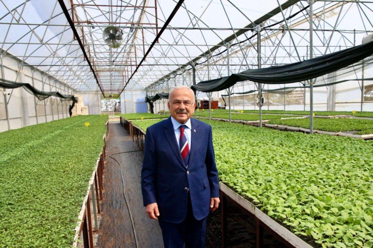 ORDU’DA 300 BİN SEBZE FİDESİ DAĞITIMA HAZIR 
